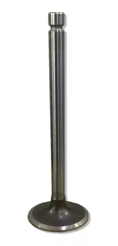VALVULA